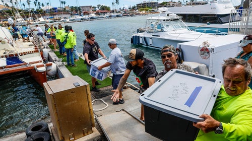 Volunteers stand in a line passing supplies in large boxes from a boat to the shore. There is water in the background and a beach in the distance.