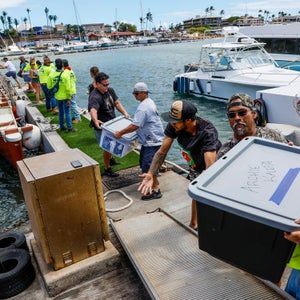Volunteers stand in a line passing supplies in large boxes from a boat to the shore. There is water in the background and a beach in the distance.