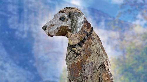 illustration of a dog