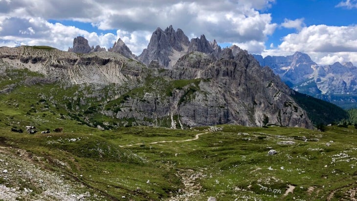 A green field looking out at the craggy Italian Dolomites