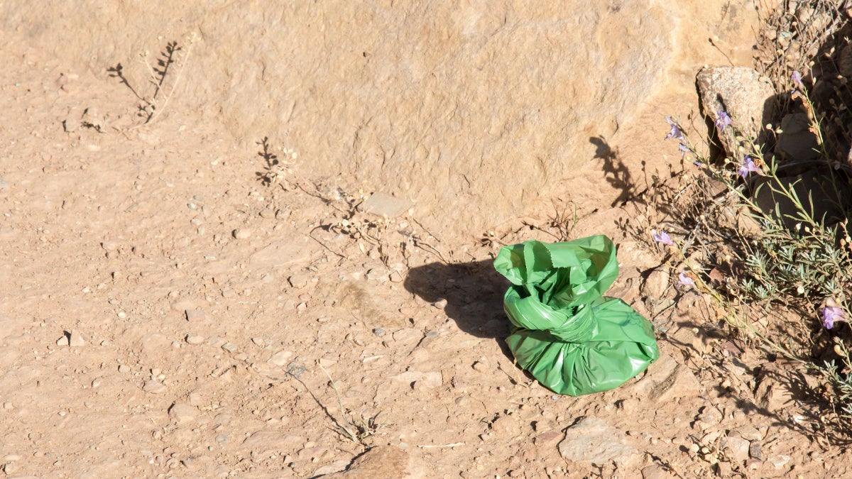 Leaving Dog Poop on the Trail Is Bad. Leaving Dog Poop Bags on the Trail Is Worse.