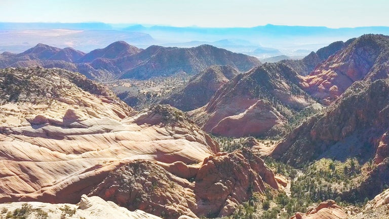 The Most Beautiful Hikes in U.S. National Forests