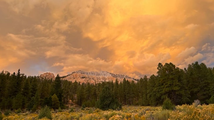 Dixie National Forest in Utah