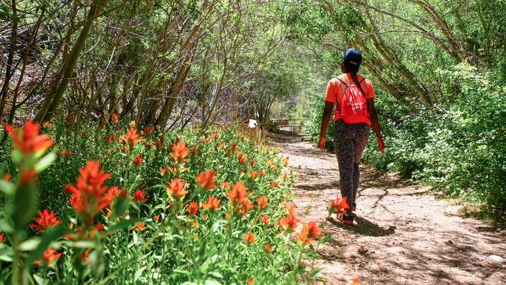 woman hiker san