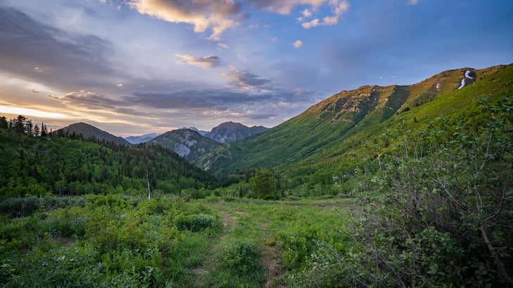 unita wasatch cache national forest