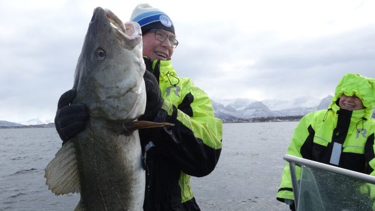 A man on a boat holding up an enormous cod—at least three feet long