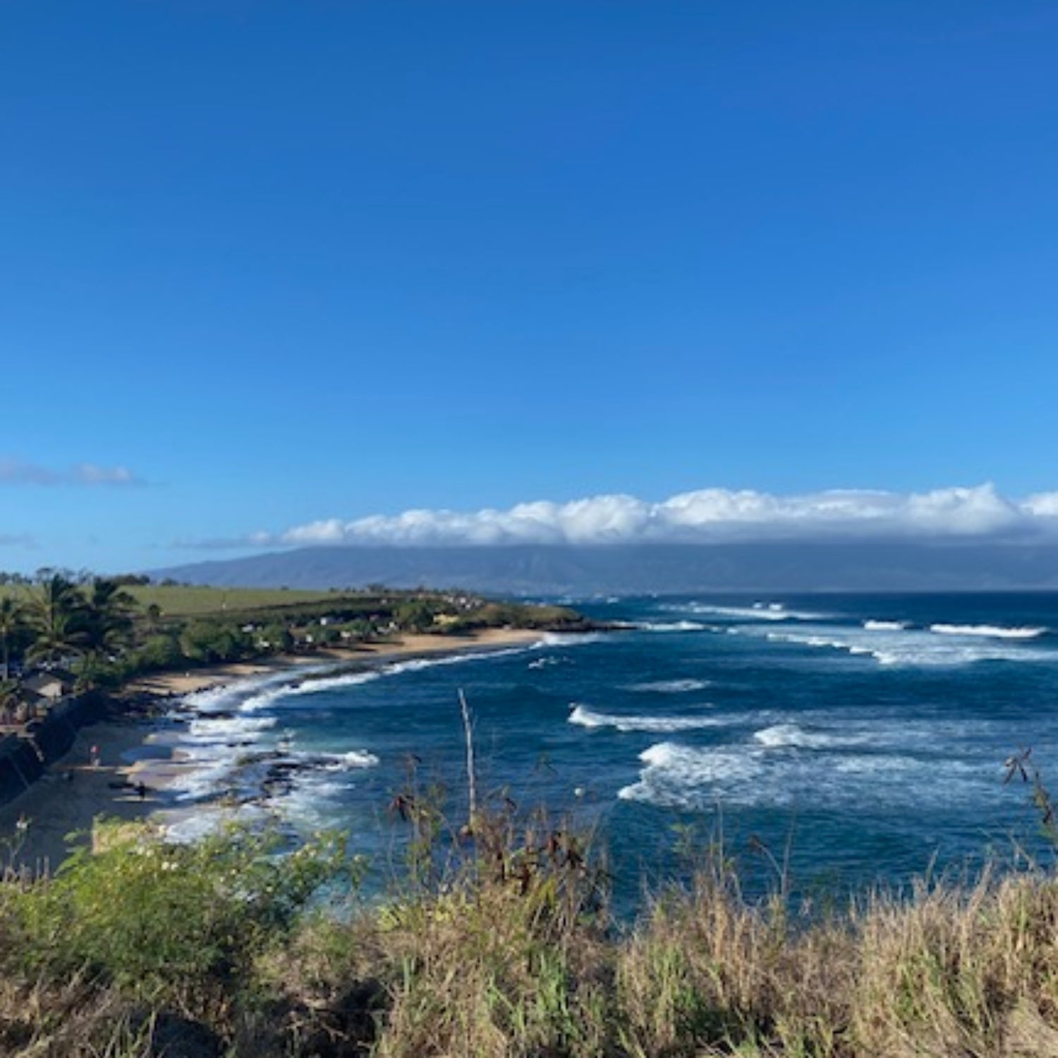 I've Got a Trip to Maui Planned. Should I Still Go?