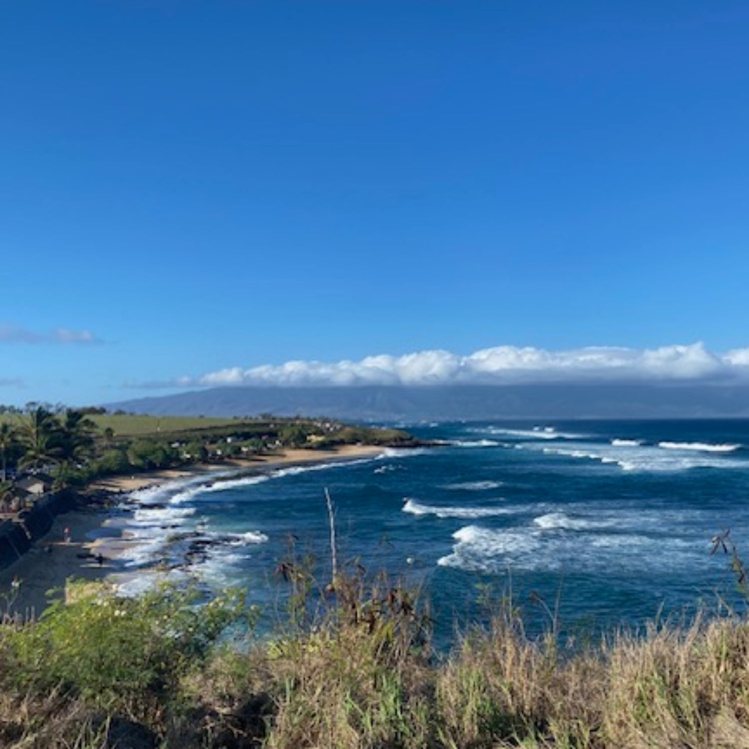 Maui after the fires