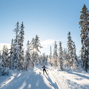 View of woman cross-country skiing in forest in Norway