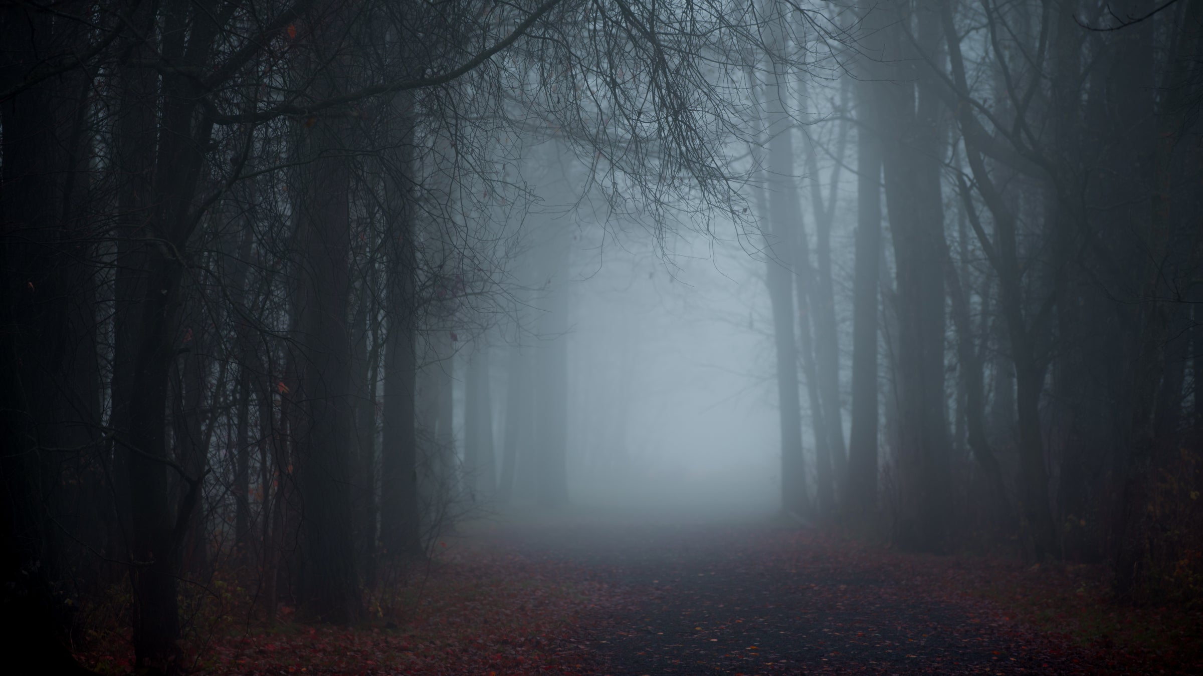 Murder on the Appalachian Trail