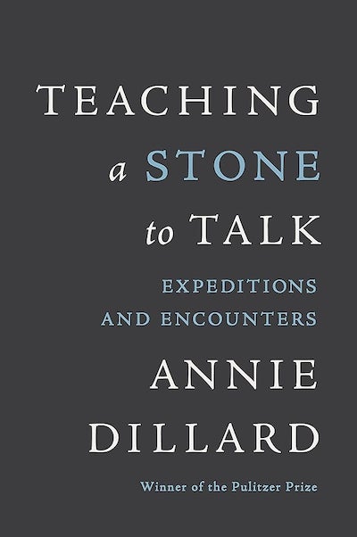 Cover of Teaching a Stone to Talk