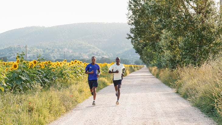Two runners follow sunflower lined roads in Italy