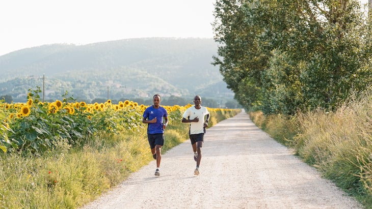 Two runners follow sunflower lined roads in Italy