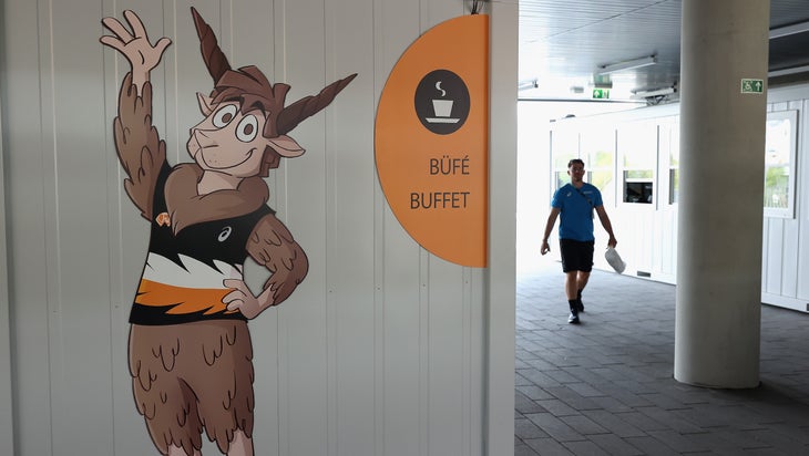A mascot of the sheep painted on the wall of the stadium