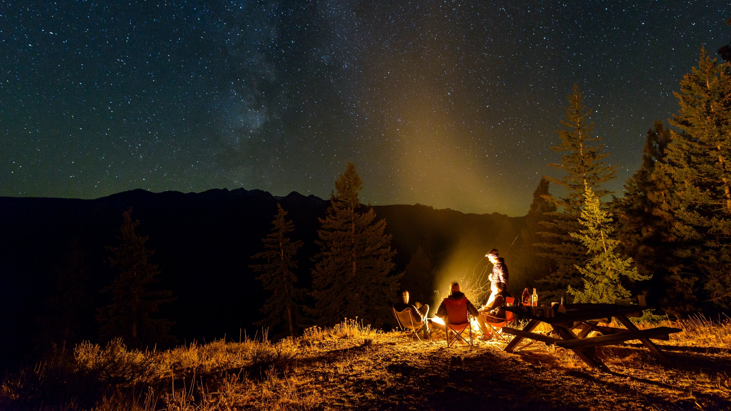 A group of people around a campfire at night, with stars in the background, tall conifers, and a picnic table nearby.