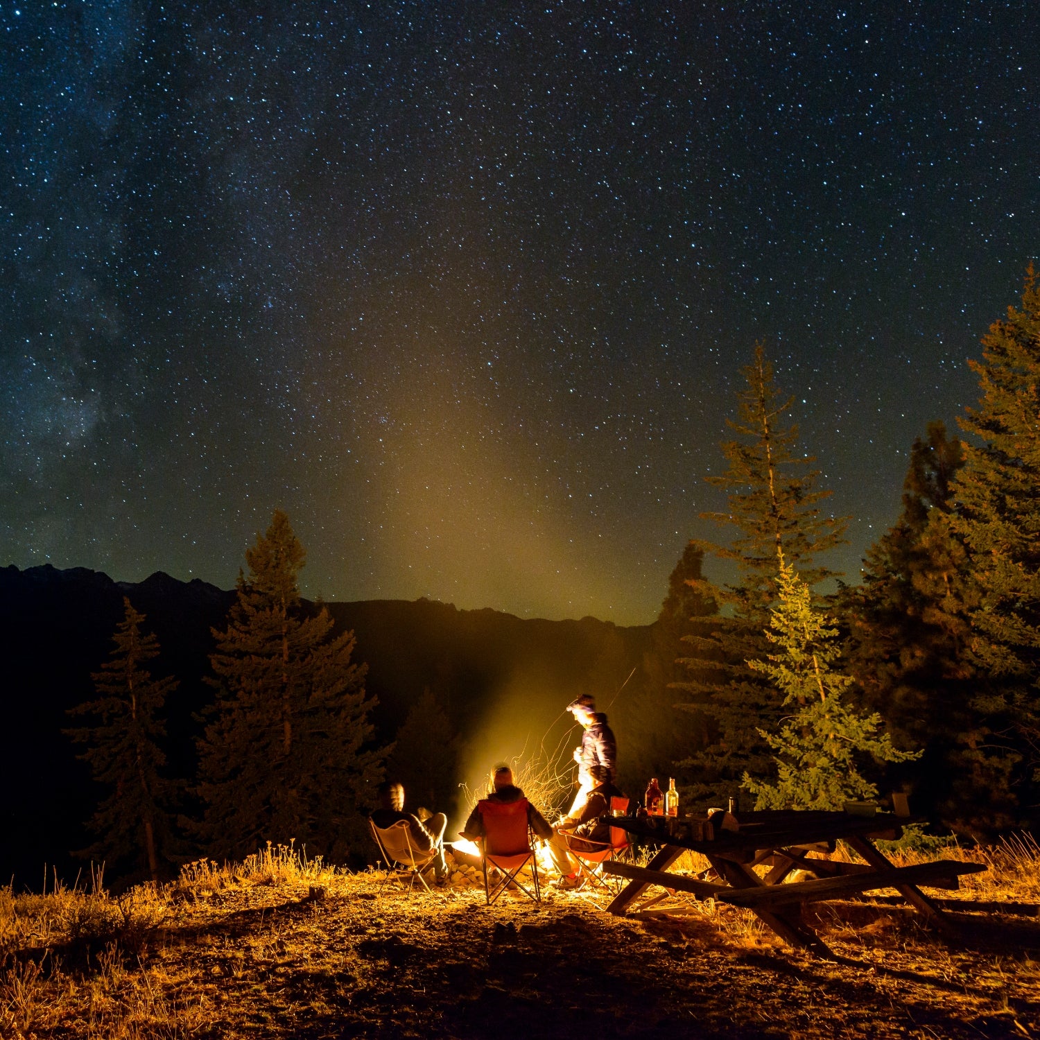 A group of people around a campfire at night, with stars in the background, tall conifers, and a picnic table nearby.