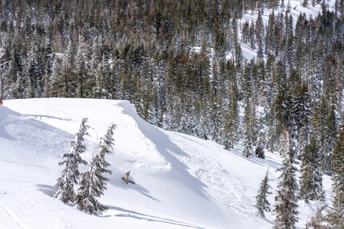 Man snowboarding on a powdery landscape