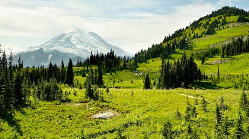 Mount Rainier and the Wonderland Trail