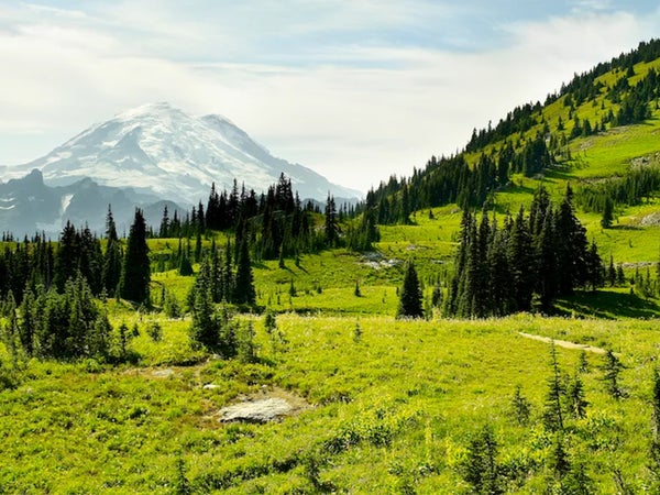 Mount Rainier and the Wonderland Trail