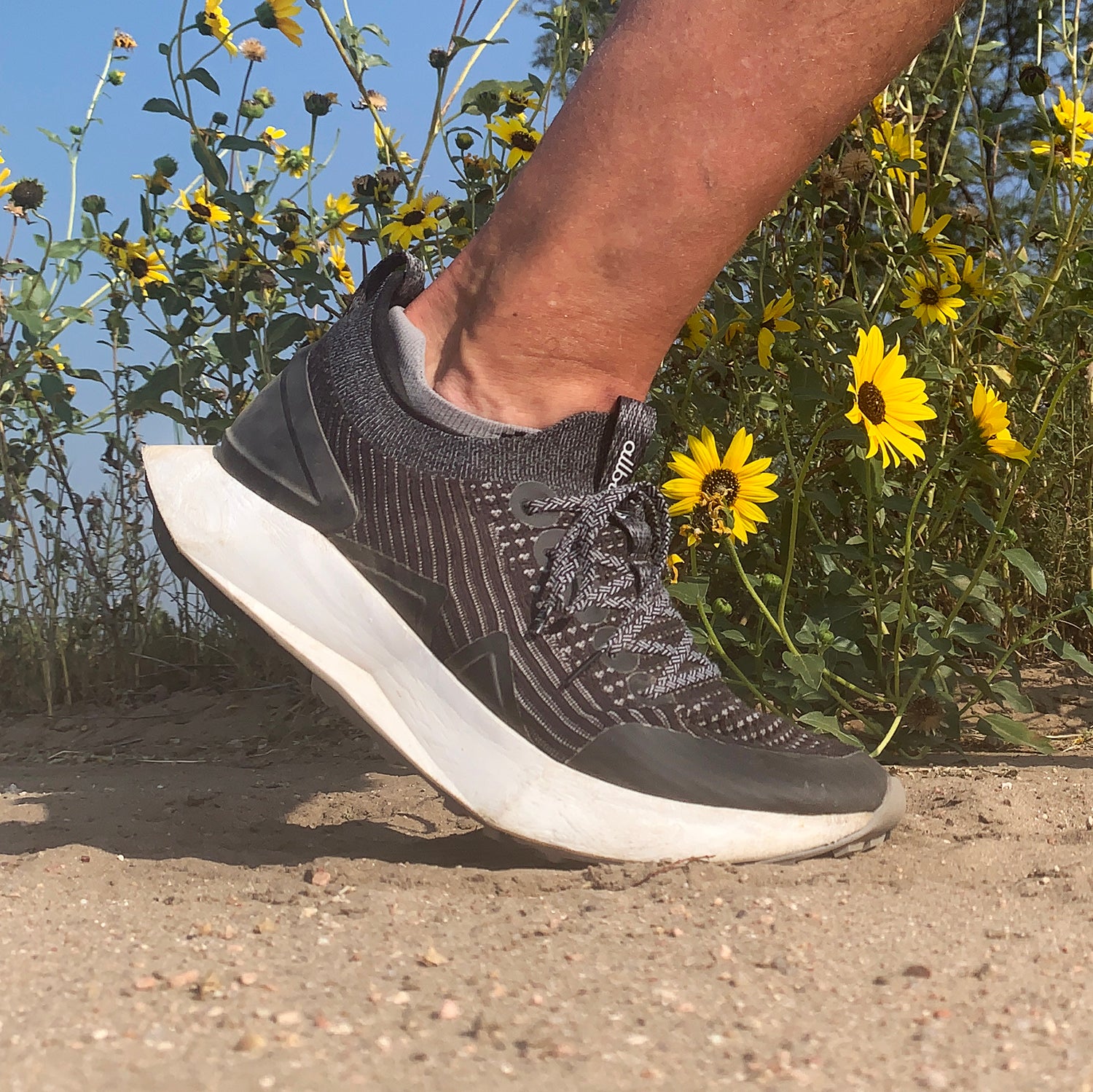 Alternatives to allbirds hot sale tree runners