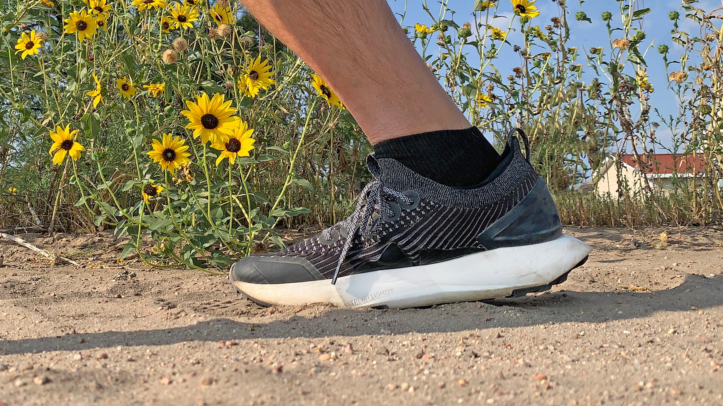 Allbirds Tree Flyer 2 on a trail