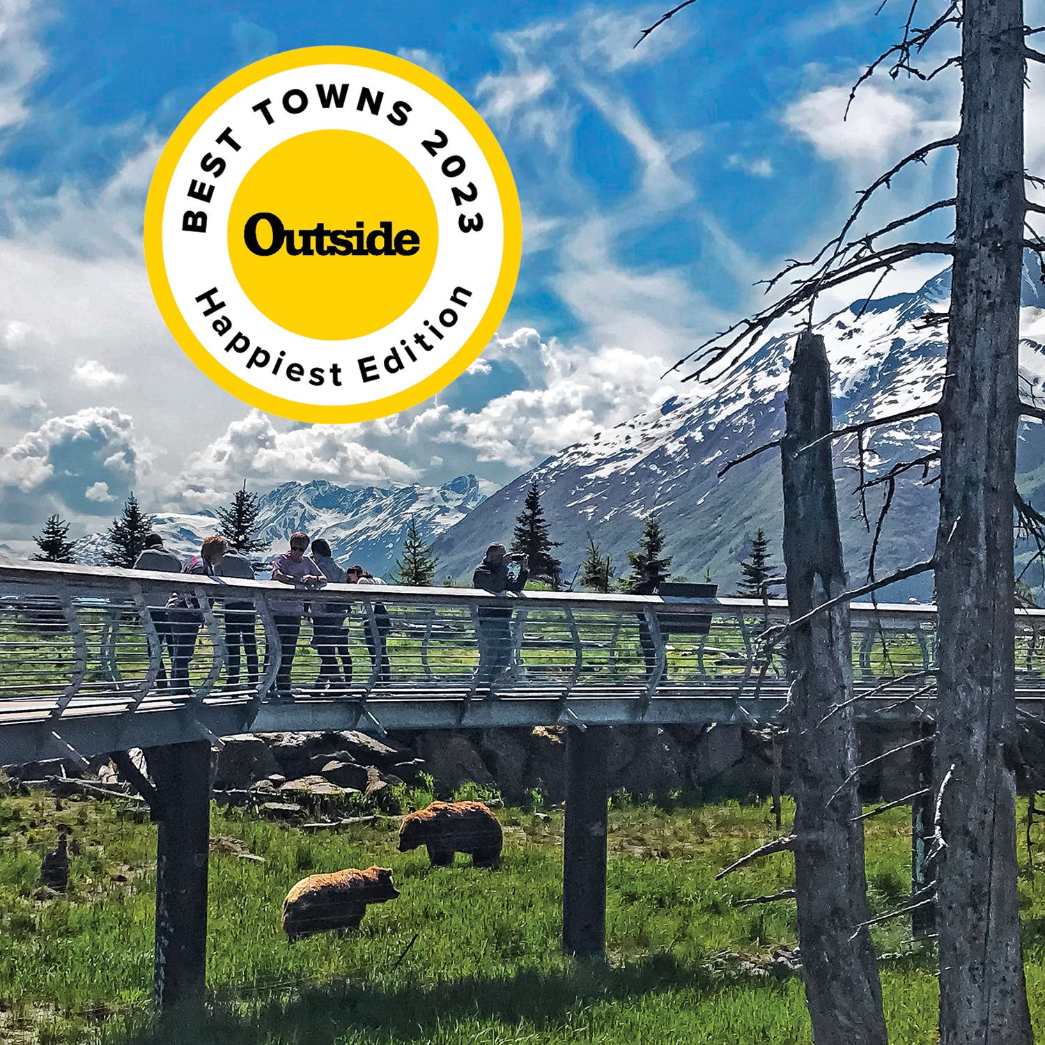 Bear viewing in Anchorage