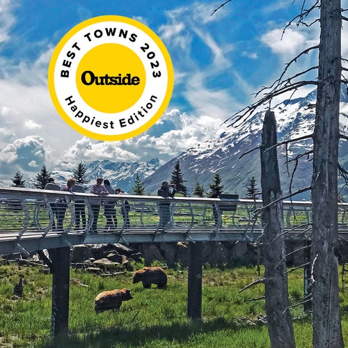 Bear viewing in Anchorage