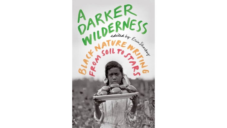 A darker wilderness book cover