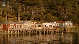 These Bayside Cottages North of San Francisco Set the Scene for Adventure