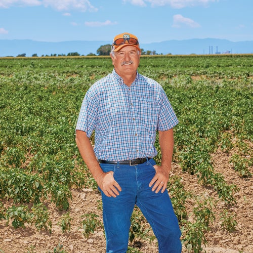 Chile pepper researcher Michael Bartolo standing in the chile field at Musso Farms
