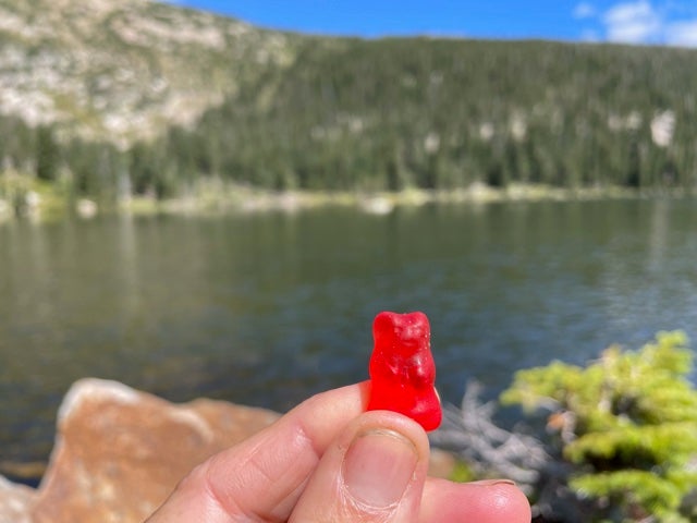 gummy bear in front of a lake