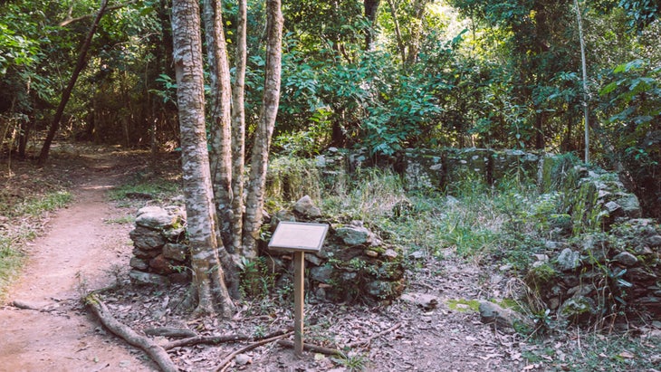 Ruins along Reef Bay Trail