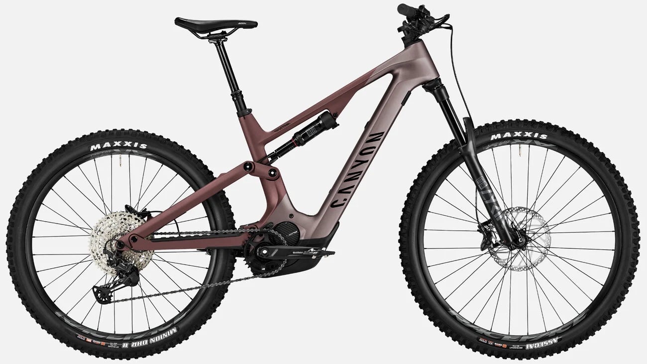 Best hunting best sale ebike 2021