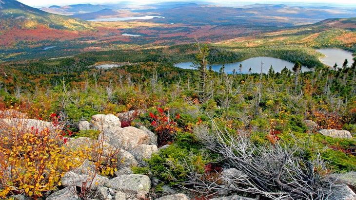 Blueberry Knoll, Baxter State Park