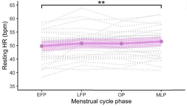 How Your Menstrual Cycle Affects Recovery from Training