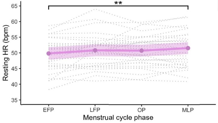 Training Around Your Menstrual Cycle