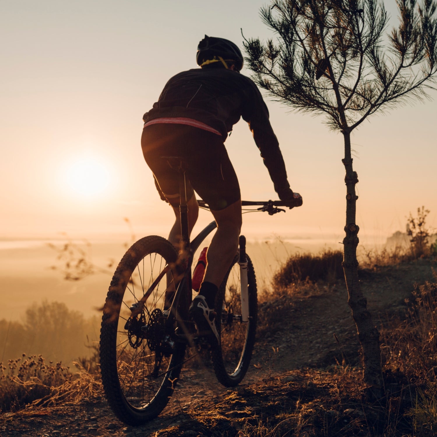 Sunrise discount mountain biking