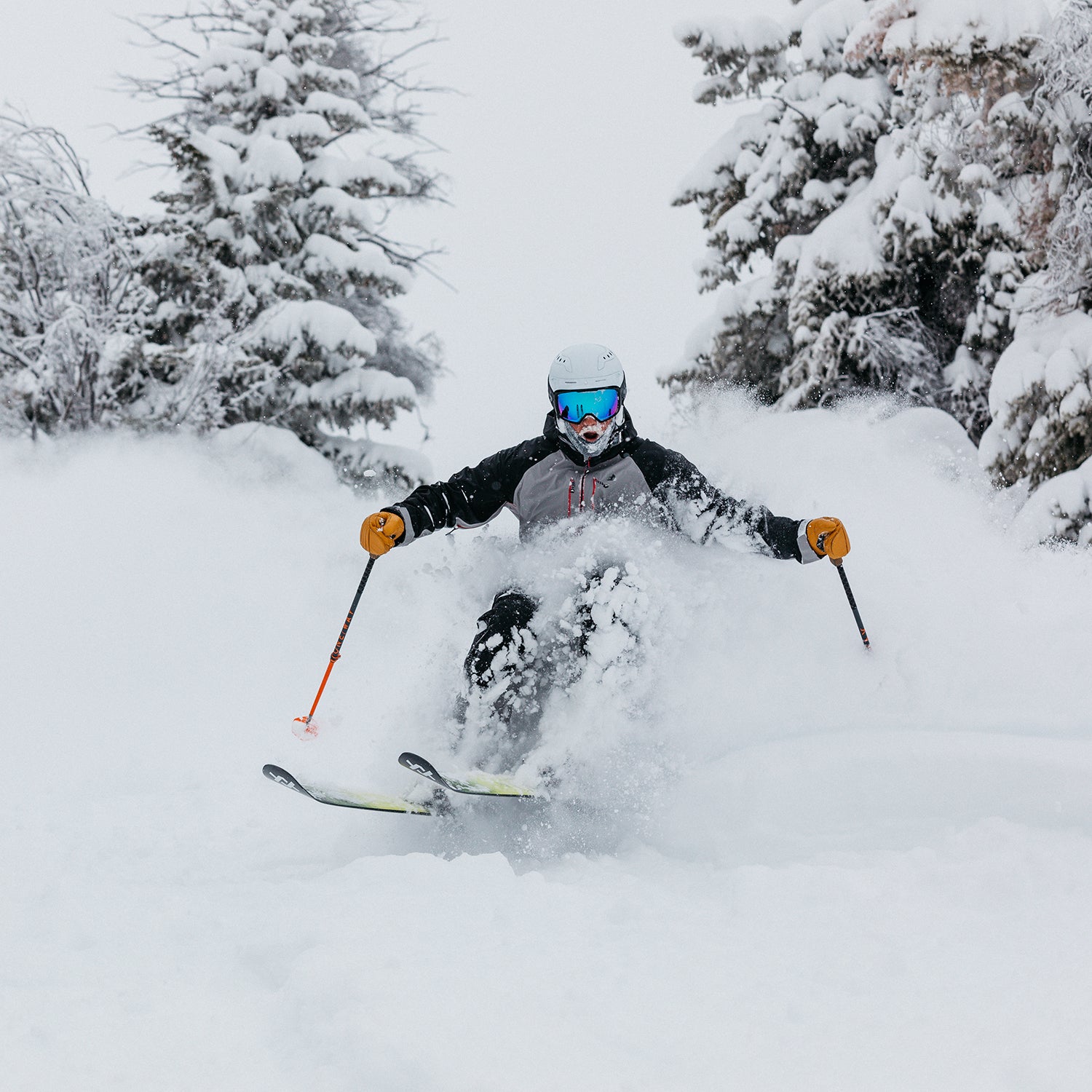 ski test, powder