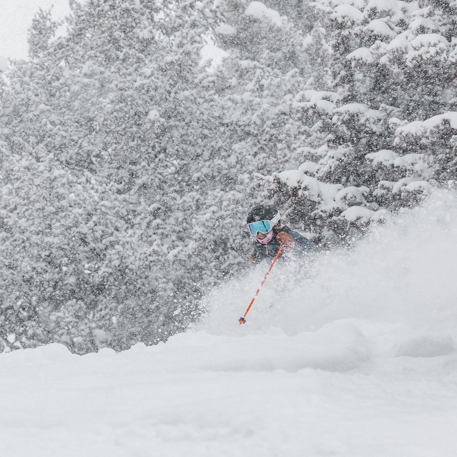 ski test, powder