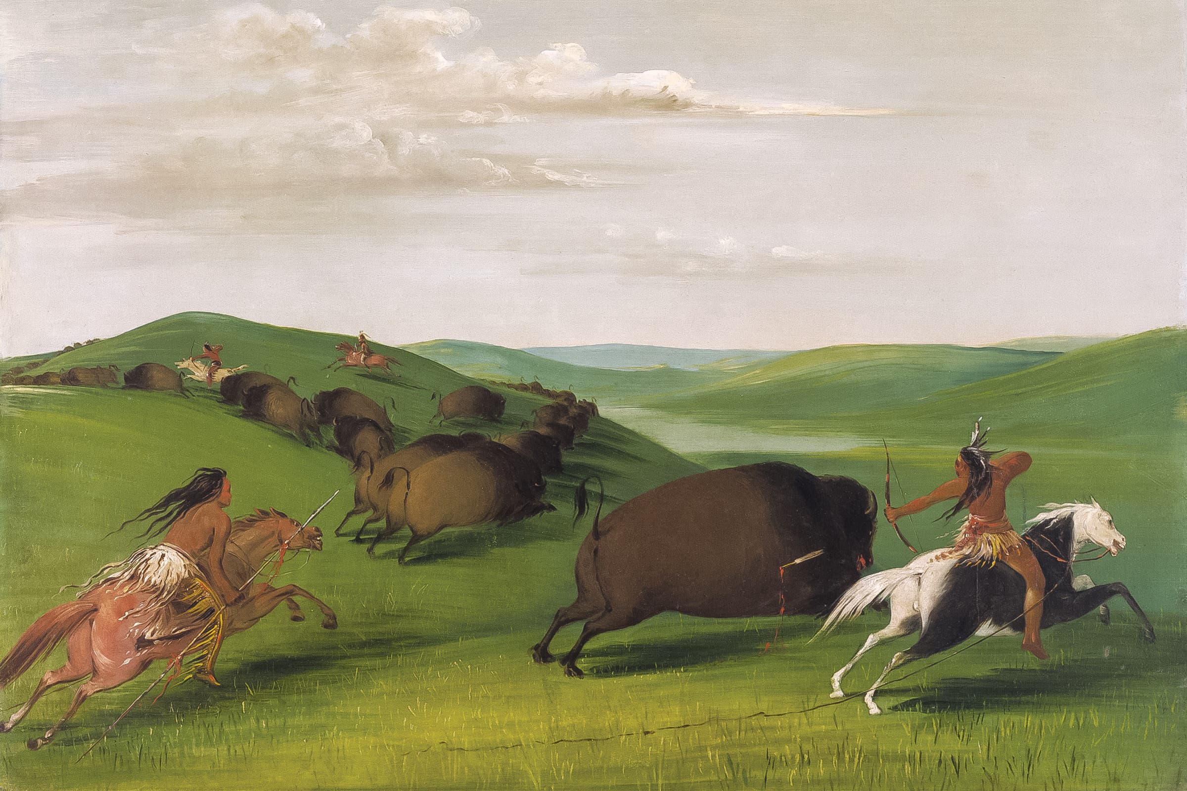An 1800s painting of a buffalo chase