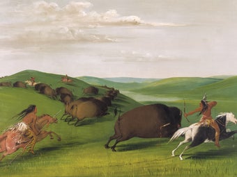 An 1800s painting of a buffalo chase