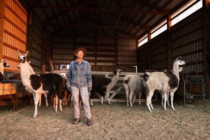 Lisa Wolf at her llama farm