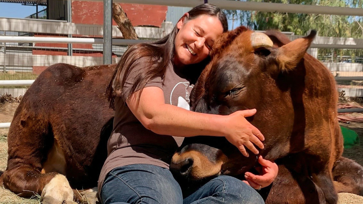 Feeling Anxious? Hug a Cow—It Might Help.