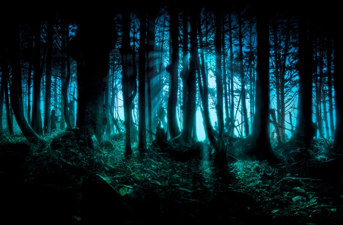 Spooky Tales from Haunted National Parks