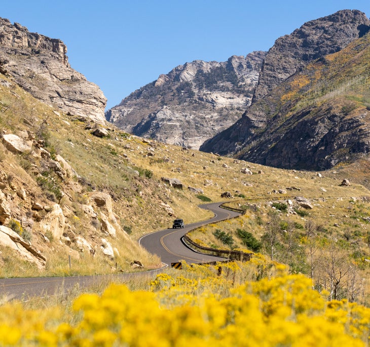 Driving Lamoille Canyon Road in the fall