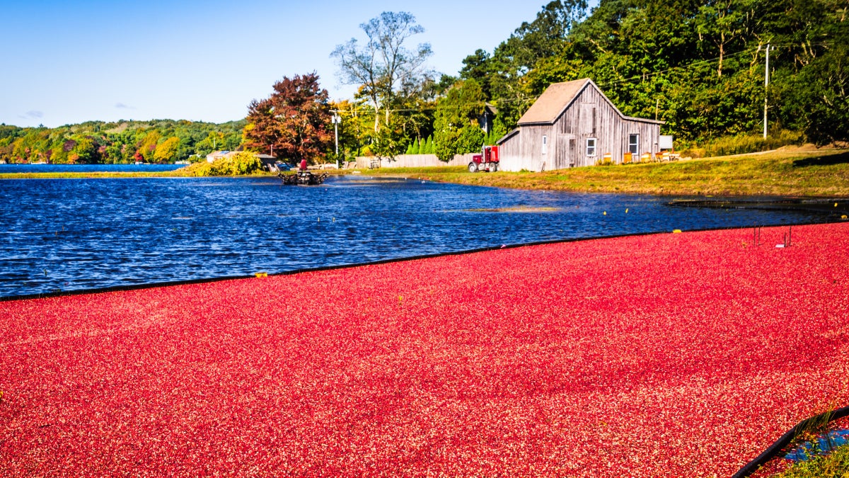 A Delicious New England Road Trip