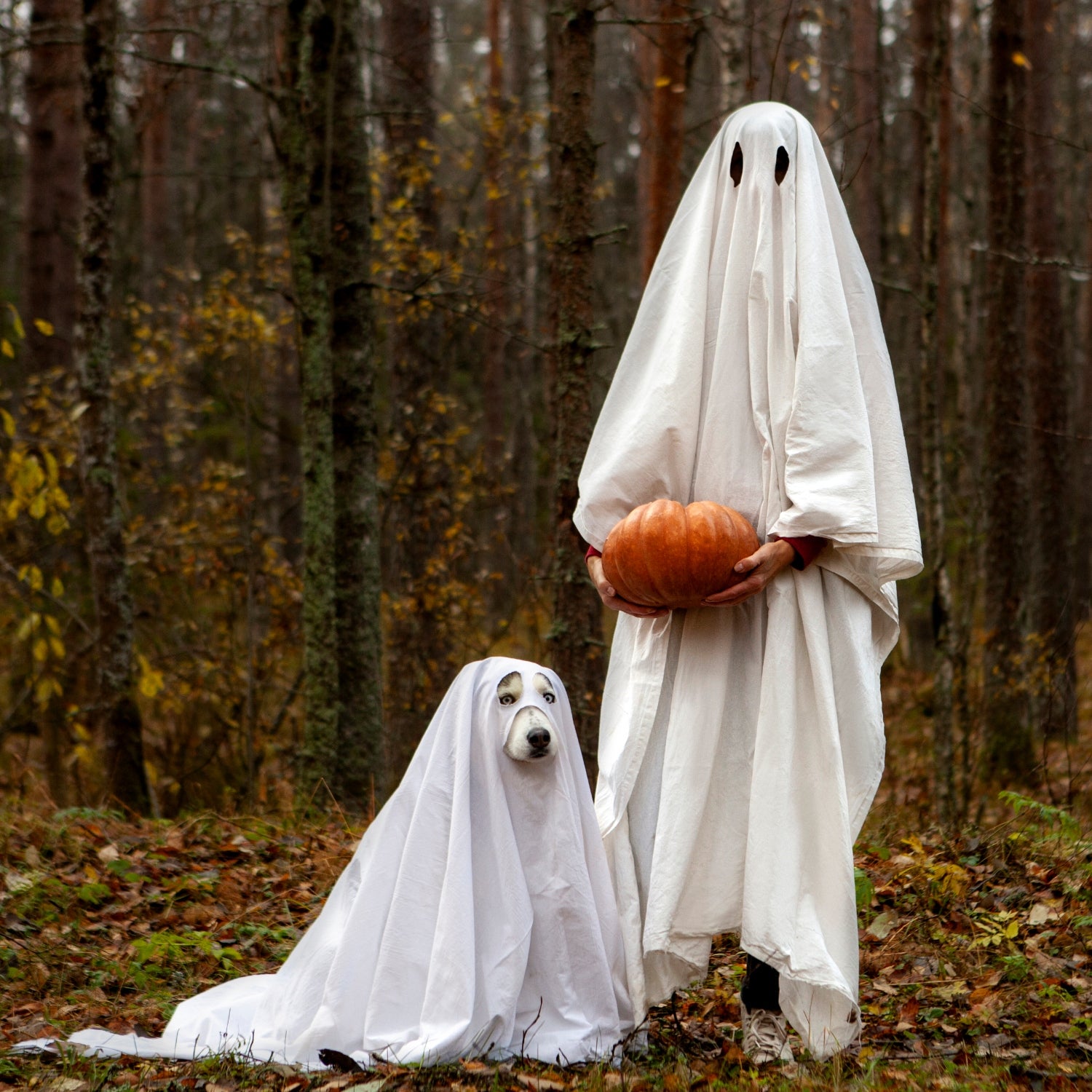 Family of Birds Halloween Costume