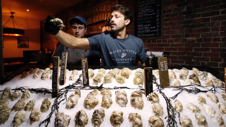 Two men behind a display of various types of fresh oysters atop ice