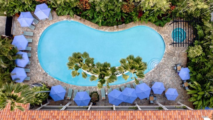 A turquoise-blue, kidney-shaped pool at the Wayfinder Waikiki Hotel is surrounded by palm trees and periwinkle-colored umbrellas