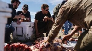 Steven Rinella buffalo